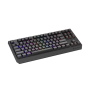 Genesis , THOR 230 , Mechanical Gaming Keyboard , Wireless , US , Black , 2.4 GHz, Bluetooth, USB , Outemu Panda