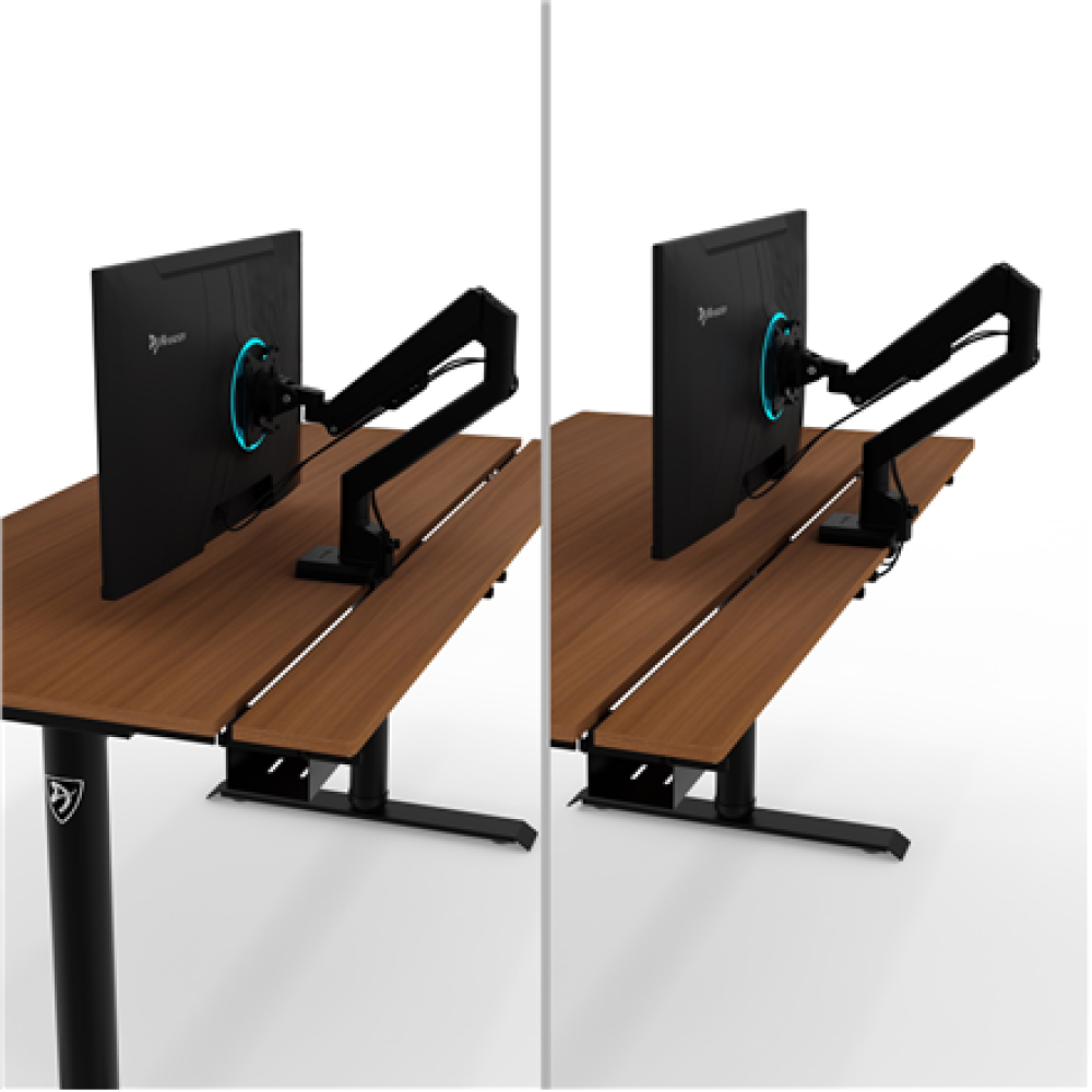 Arozzi Electric Standing Desk , Arena Nordico , Walnut