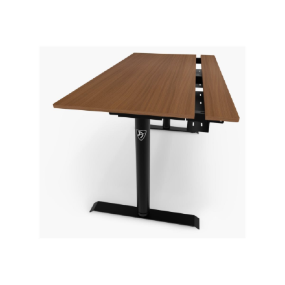 Arozzi Electric Standing Desk , Arena Nordico , Walnut