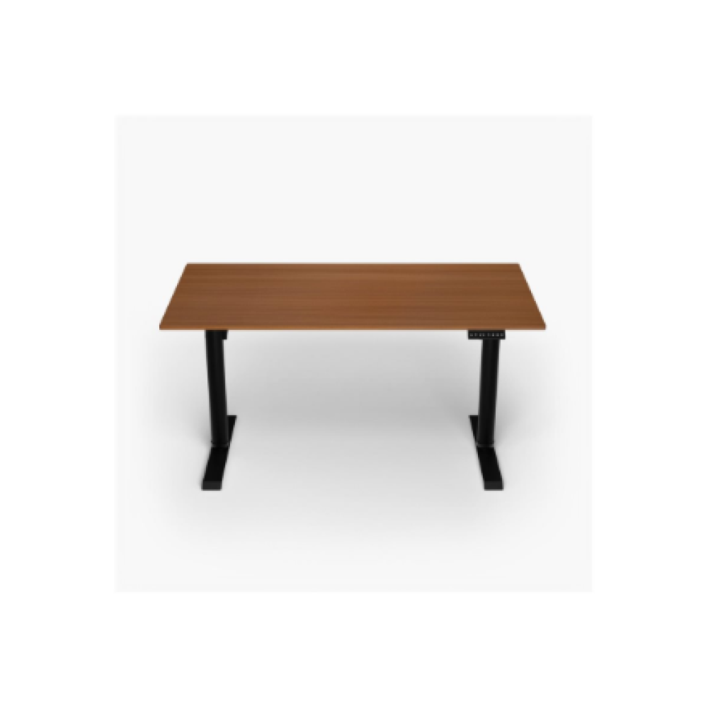 Arozzi Electric Standing Desk , Arena Nordico , Walnut