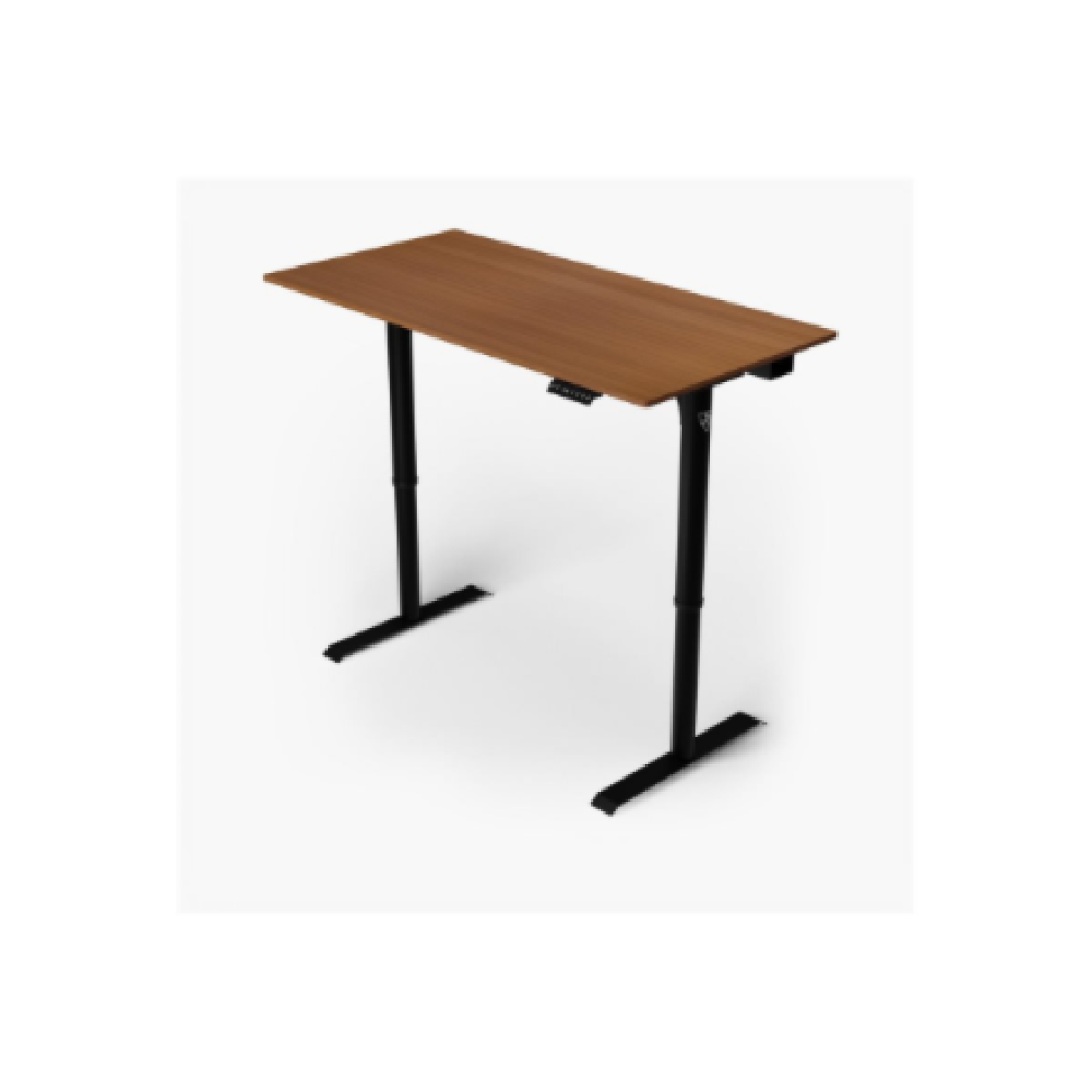 Arozzi Electric Standing Desk , Arena Nordico , Walnut