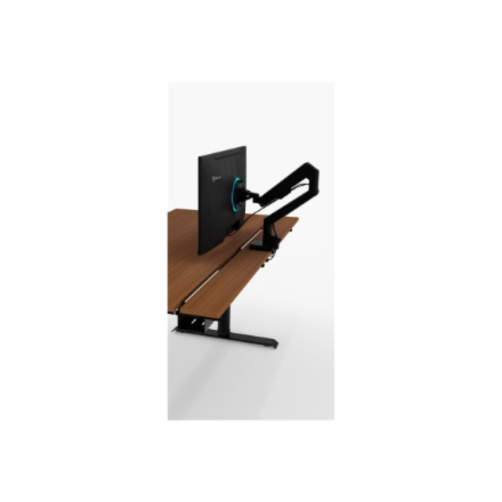Arozzi Electric Standing Desk , Arena Nordico , Walnut