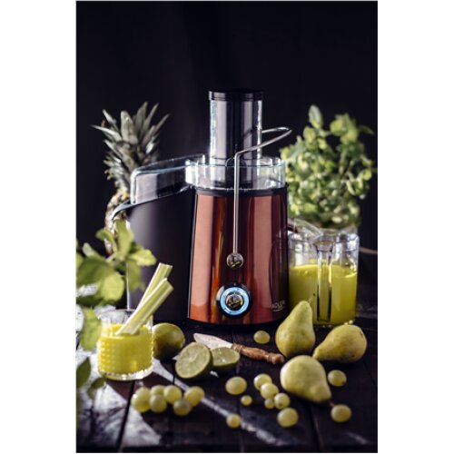 Adler , Juicer , AD 4129 , Type Juicer maker , Copper , 1000 W , Number of speeds 2