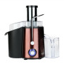 Adler , Juicer , AD 4129 , Type Juicer maker , Copper , 1000 W , Number of speeds 2