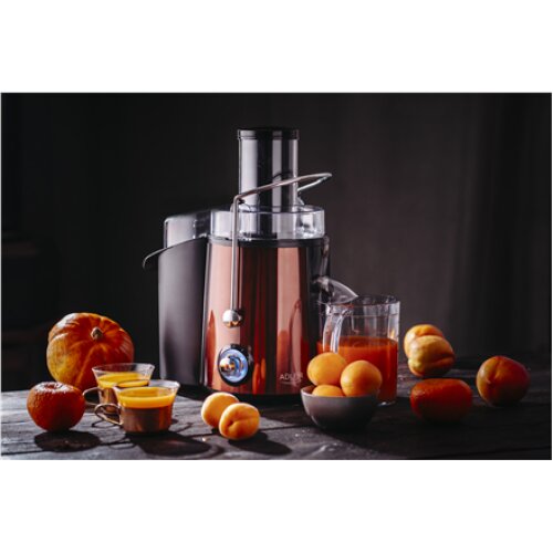 Adler , Juicer , AD 4129 , Type Juicer maker , Copper , 1000 W , Number of speeds 2