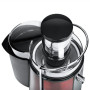 Adler , Juicer , AD 4129 , Type Juicer maker , Copper , 1000 W , Number of speeds 2