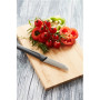 Barbecook , Bamboo cutting board FSC, 30 x 20 x 1.5 cm (per 6 pcs) , BC-ACC-7300