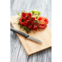 Barbecook , Bamboo cutting board FSC, 30 x 20 x 1.5 cm (per 6 pcs) , BC-ACC-7300