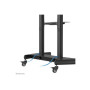 Neomounts Floor stand , PLASMA-M1950E TV trolley , Adjustable Height, Tilt , 60-100 , Maximum weight (capacity) 100 kg , Black