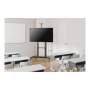 Neomounts Floor stand , PLASMA-M1950E TV trolley , Adjustable Height, Tilt , 60-100 , Maximum weight (capacity) 100 kg , Black