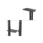Neomounts Floor stand , PLASMA-M1950E TV trolley , Adjustable Height, Tilt , 60-100 , Maximum weight (capacity) 100 kg , Black