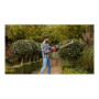 BLACK & DECKER , Hedge trimmer , BEHTS451-QS , 550 W