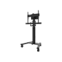 Neomounts AV2-500BL Videobar kit , 43-110 , Maximum weight (capacity) 10 kg , Black