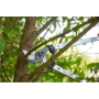 Felco , 211-60 Two-hand pruning shear , Shear