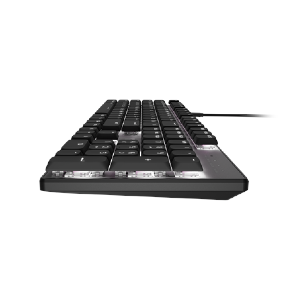 Natec Amberjack , Keyboard , Wired , US , Linear , White backlight, Hot-swappable switches, Anti-ghosting, Built-in memory, Macro recording , Black/Gray