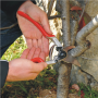 Felco , One-hand pruning shear , FELCO 13
