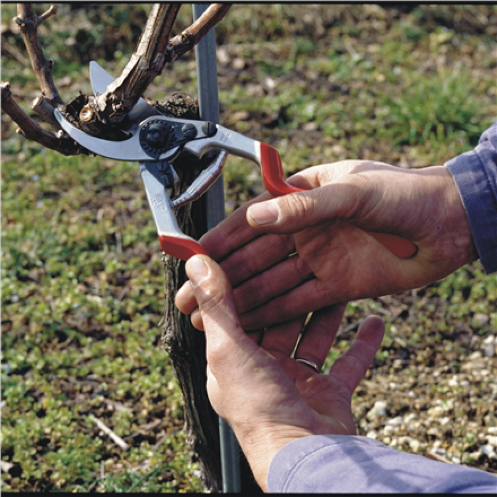 Felco , One-hand pruning shear , FELCO 13