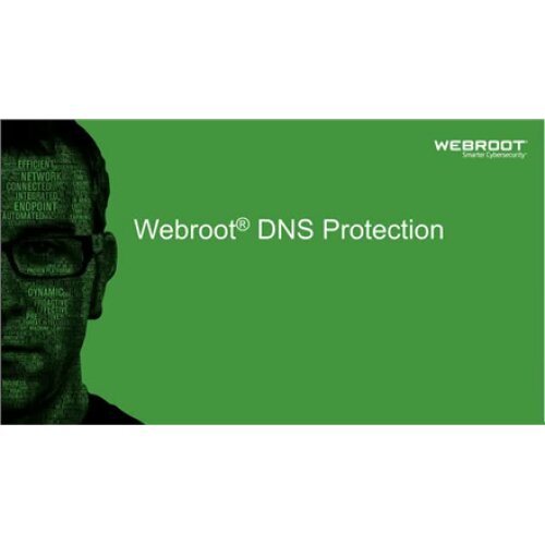 Webroot , DNS Protection with GSM Console , 1 year(s) , License quantity 10-99 user(s)