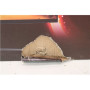 SALE OUT. AOC CU34G4 Curved 34 3440x1440/21:9/1ms HDMI, DisplayPort, USB, Audio out , SALE OUT. AOC , CU34G4 , 34 , Fast VA , UWQHD , 21:9 , 180 Hz , 1 ms , 3440 x 1440 pixels , 300 cd/m² , HDMI ports quantity 2 , Black , Warranty 28 month(s) , DAMAGED PA
