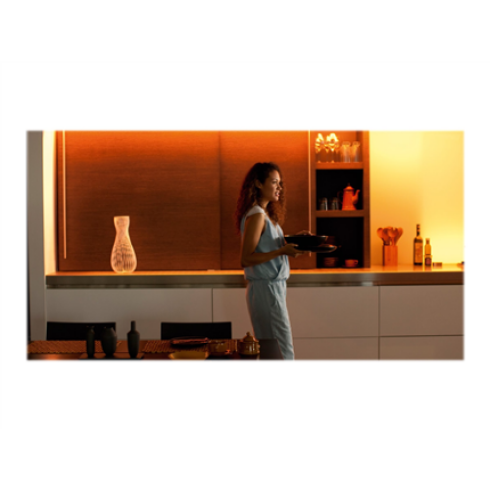 Philips Hue,Lightstrip Plus V4,Hue,11.5 W,White and color ambiance
