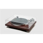 Turntable , MT-109 WTO , Muse Stereo