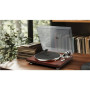 Turntable , MT-109 WTO , Muse Stereo