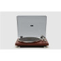 Turntable , MT-109 WTO , Muse Stereo