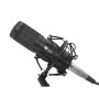 Genesis , Gaming Microphone , Radium 300 , Black , Wired