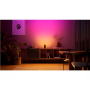 Philips Hue Play Wall Washer, Black, EU/UK, 1-pack , 2000-6500 Hue White Colour Ambiance