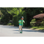 Segway , Ninebot eKickscooter ZING A6 , Up to 12 km/h , Black/Green
