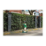 Segway , Ninebot eKickscooter ZING A6 , Up to 12 km/h , Black/Green