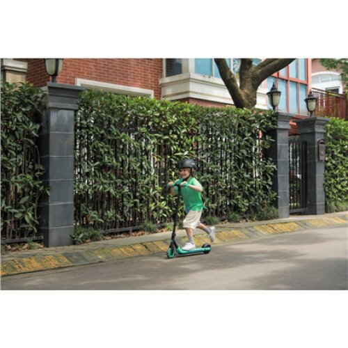 Segway , Ninebot eKickscooter ZING A6 , Up to 12 km/h , Black/Green