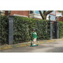 Segway , Ninebot eKickscooter ZING A6 , Up to 12 km/h , Black/Green