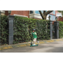 Segway , Ninebot eKickscooter ZING A6 , Up to 12 km/h , Black/Green