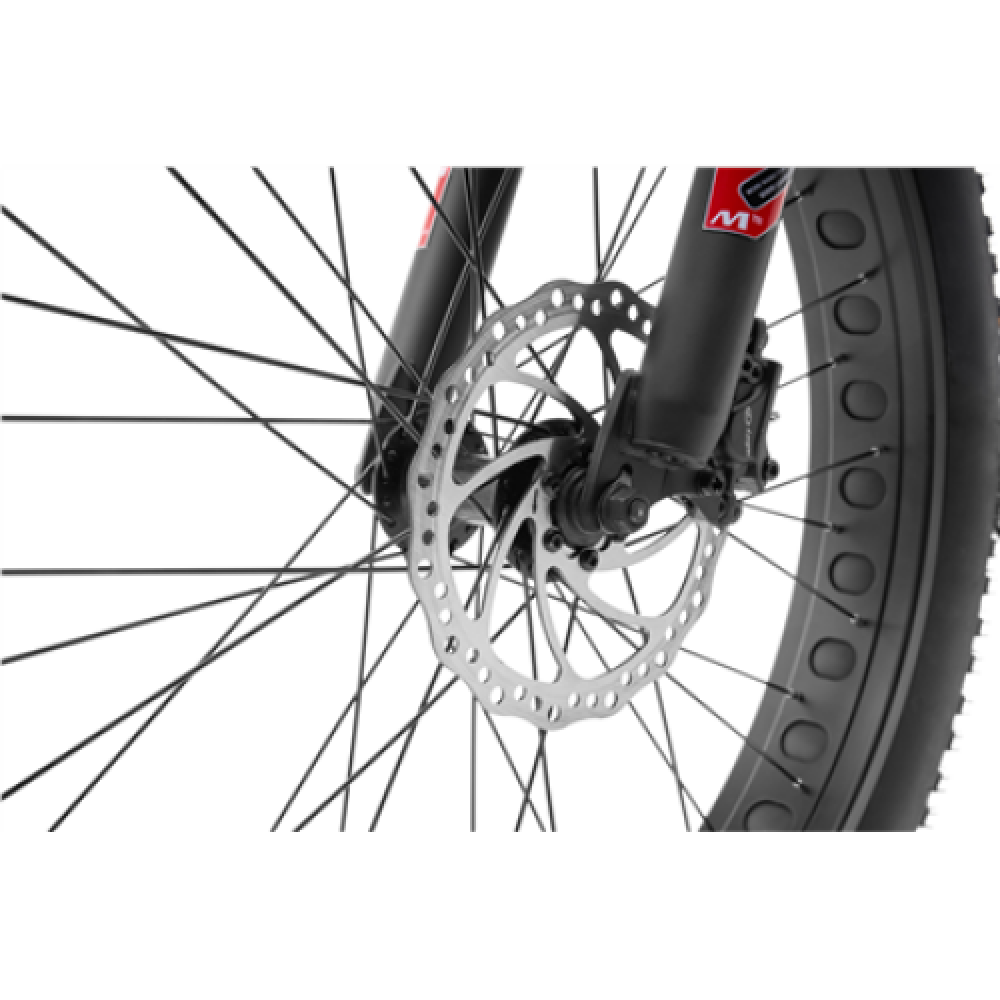 Jeep Blizzard, Mountain E-Bike, Warranty 24 month(s), Grey