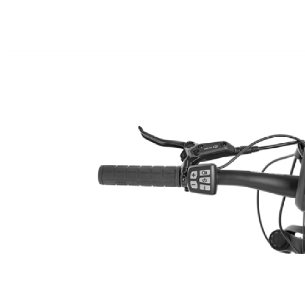 Jeep Blizzard, Mountain E-Bike, Warranty 24 month(s), Grey