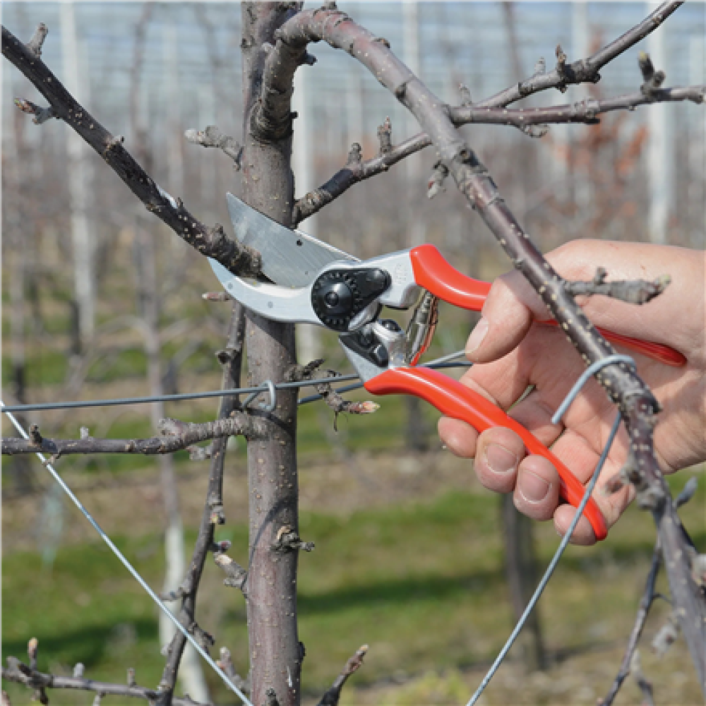 Felco , One-hand pruning shear , FELCO 2