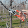 Felco , One-hand pruning shear , FELCO 2