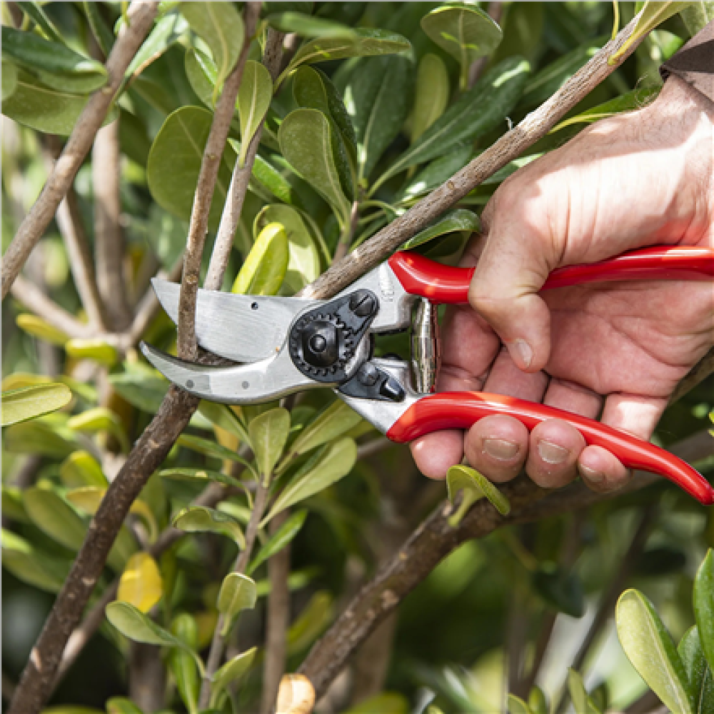Felco , One-hand pruning shear , FELCO 2