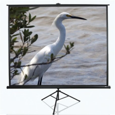 Elite Screens , Tripod Series , T100UWV1 , Diagonal 100 , 4:3 , Viewable screen width (W) 203 cm , Black