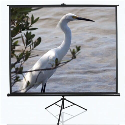 Elite Screens , Tripod Series , T100UWV1 , Diagonal 100 , 4:3 , Viewable screen width (W) 203 cm , Black