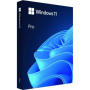 Microsoft Windows 11 Pro HAV-00163 USB FPP 64-bit English