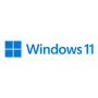 Microsoft Windows 11 Pro HAV-00163 USB FPP 64-bit English