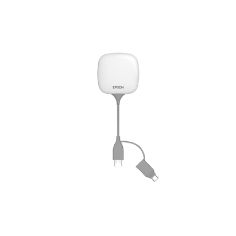Epson , Wireless Presentation System , ELPWP20