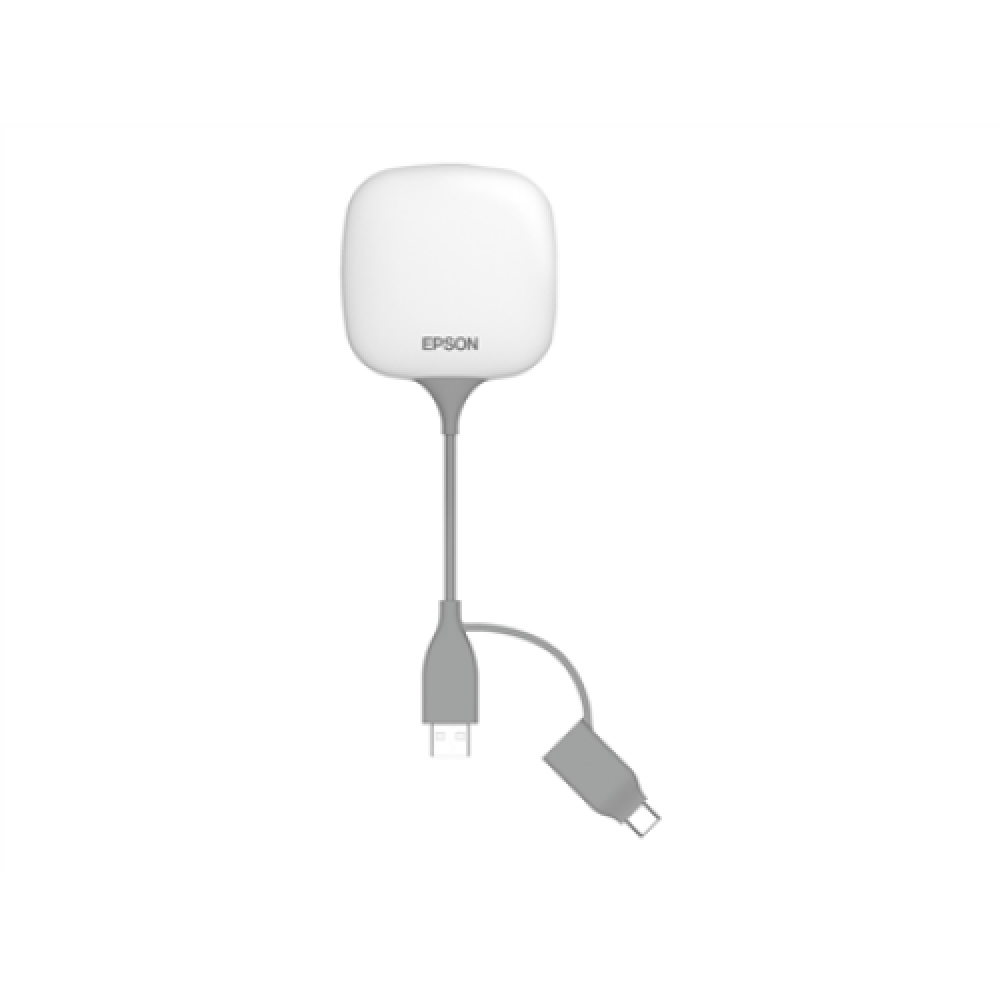 Epson , Wireless Presentation System , ELPWP20