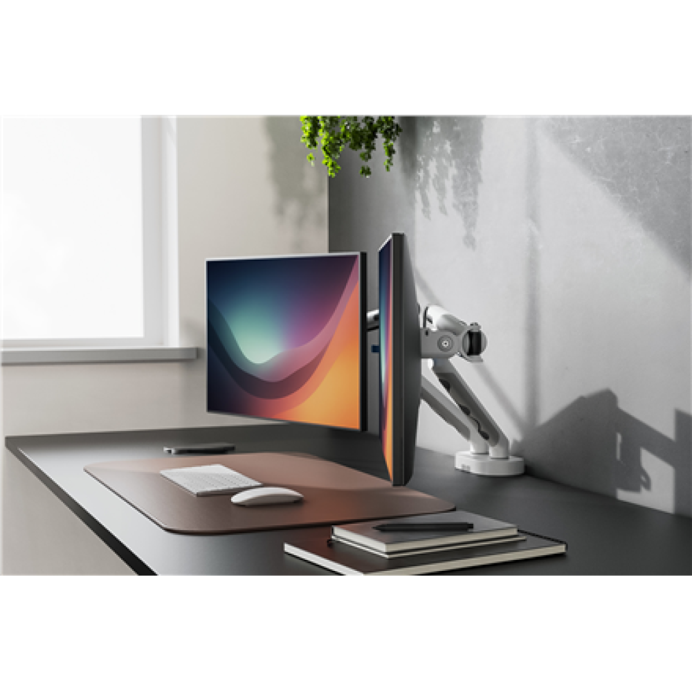 Digitus Desk Mount , Tilt, rotation, pivot , Dual design monitor mount, 2x 35, 2x 10 kg , 35 , Maximum weight (capacity) 20 kg , White