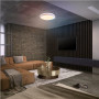 Osram SMART+ WIFI ORBIS MAGIC WALL/CEILING 500mm RGB+TW Dimmable white , 38 W , RGBTW , Wi-Fi