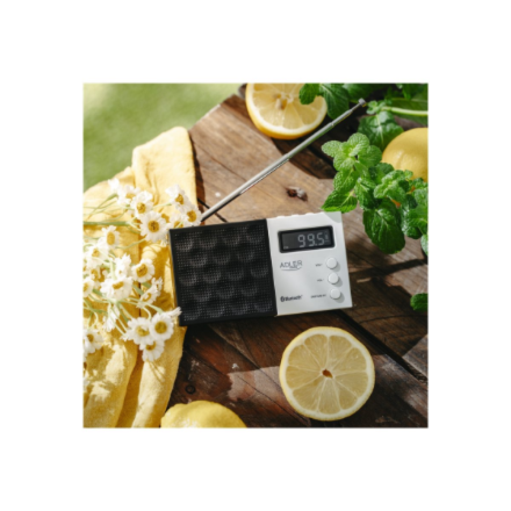 AD 1908 Adler , Digital Radio - PLL AM/FM , AD 1908 , Alarm function , White/Black