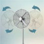 Cecotec EnergySilence 620 Retrostyle , Stand Fan , Diameter 40 cm , Number of speeds 3 , Oscillation , 50 W
