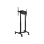 Neomounts Floor stand , FL55-875BL1 TV trolley , Adjustable Height , 55-100 , Maximum weight (capacity) 110 kg , Black